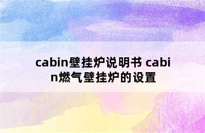 cabin壁挂炉说明书 cabin燃气壁挂炉的设置